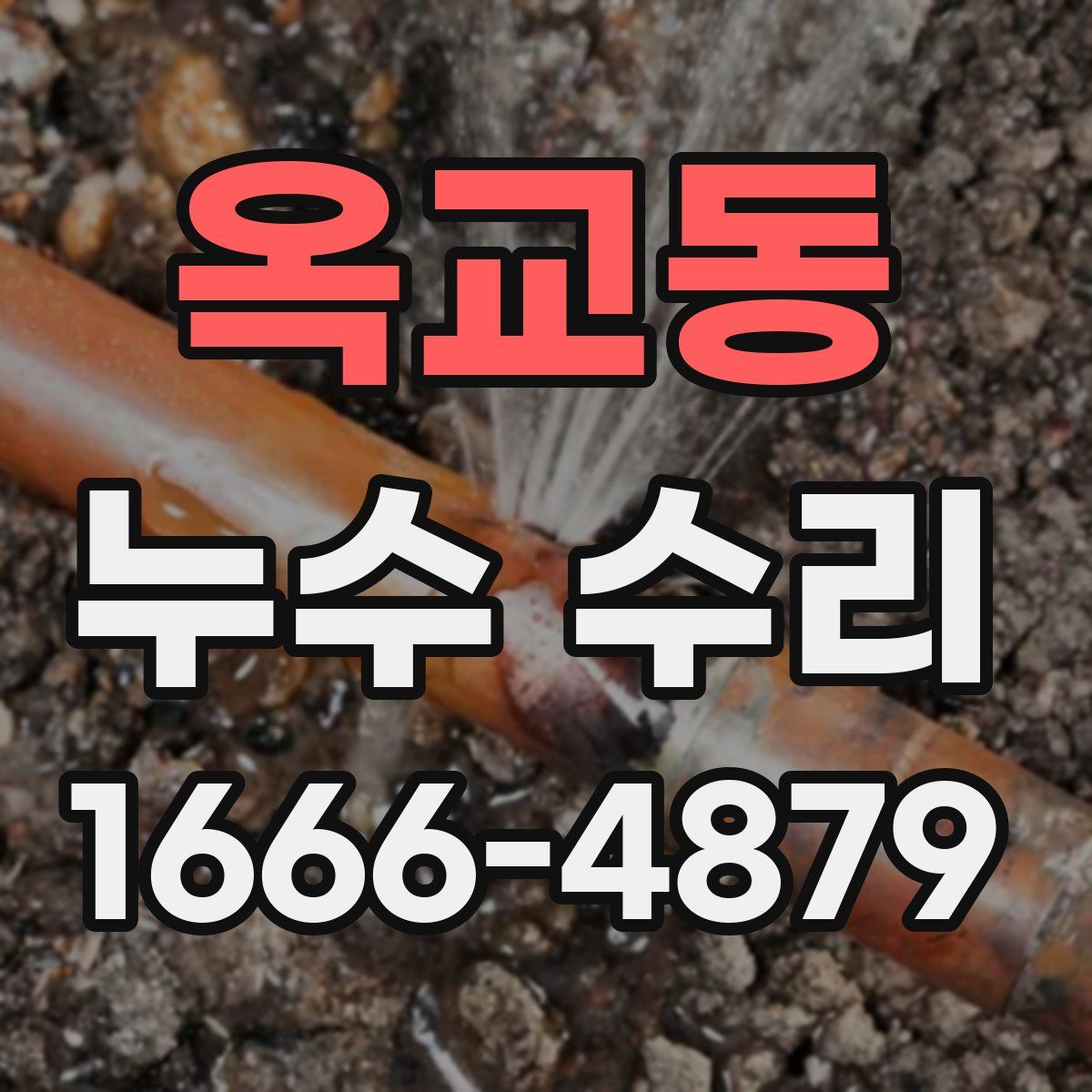 옥교동 누수 수리