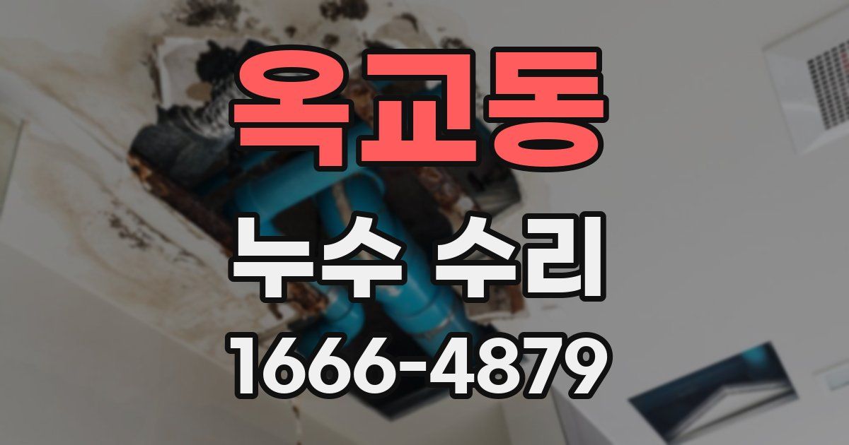옥교동 누수 수리