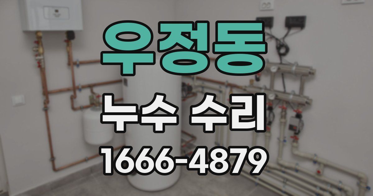 우정동 누수 수리