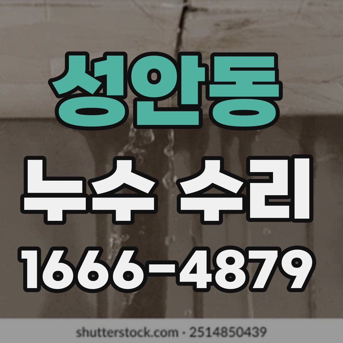 성안동 누수 수리