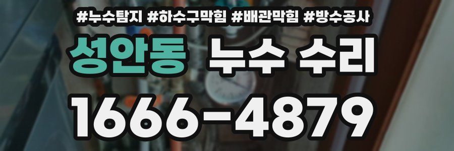 성안동 누수 수리