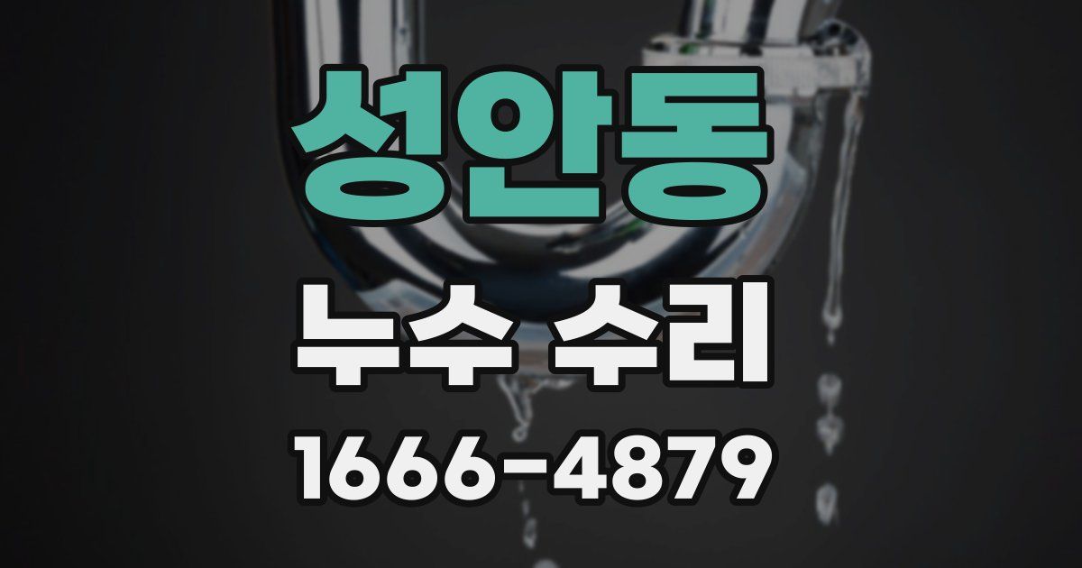 성안동 누수 수리