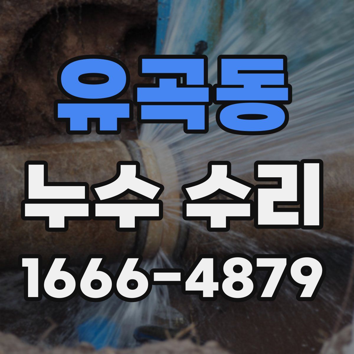 유곡동 누수 수리