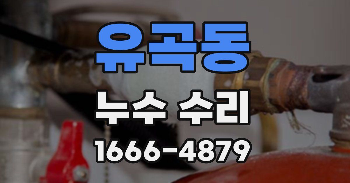 유곡동 누수 수리