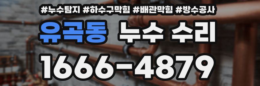 유곡동 누수 수리