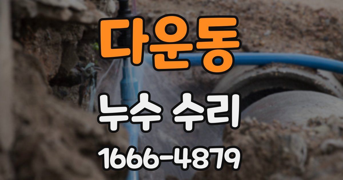 다운동 누수 수리