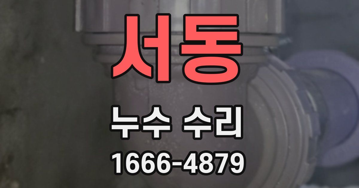 서동 누수 수리