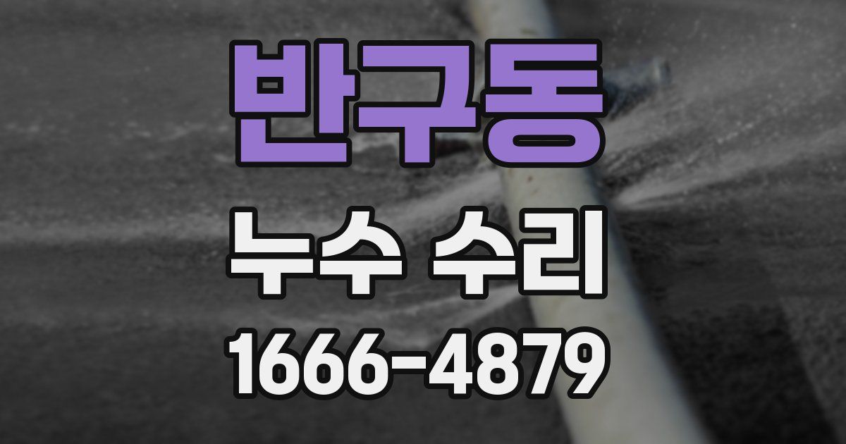 반구동 누수 수리