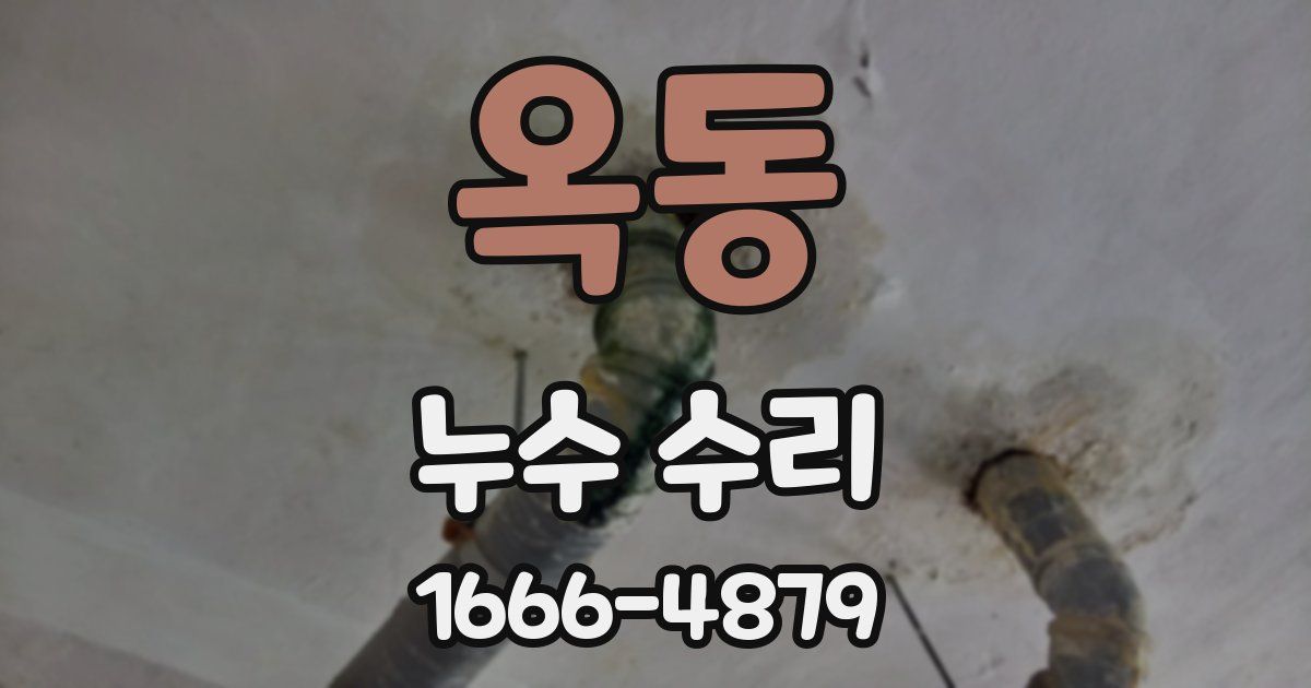 옥동 누수 수리