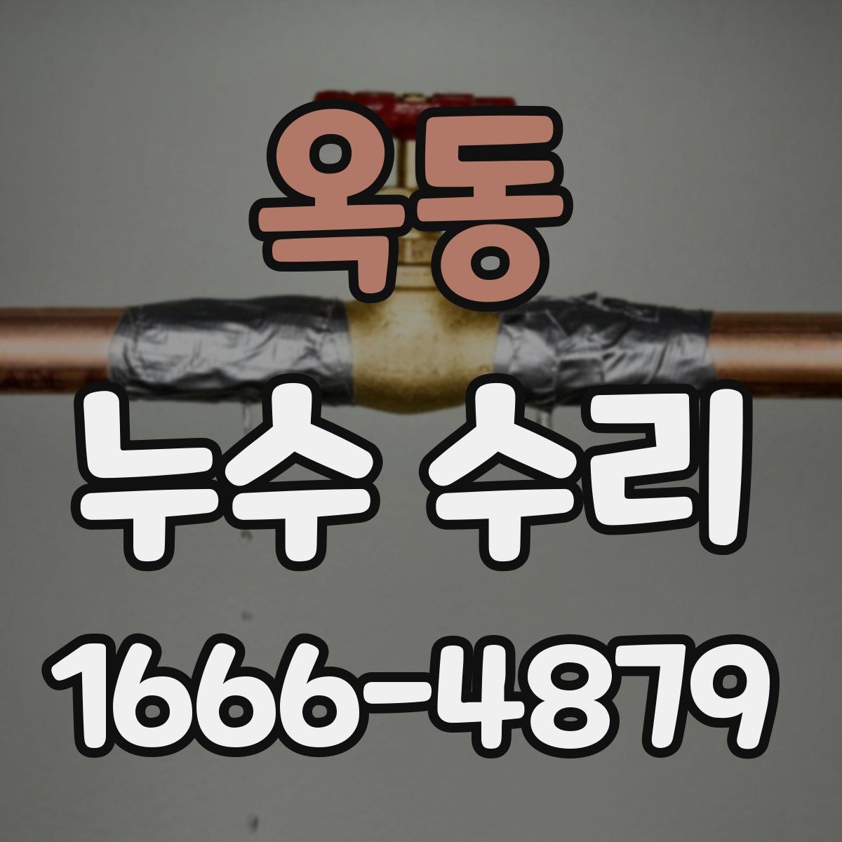 옥동 누수 수리