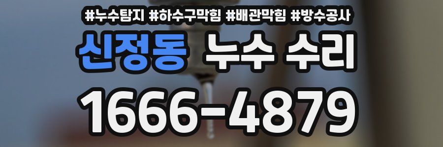 신정동 누수 수리