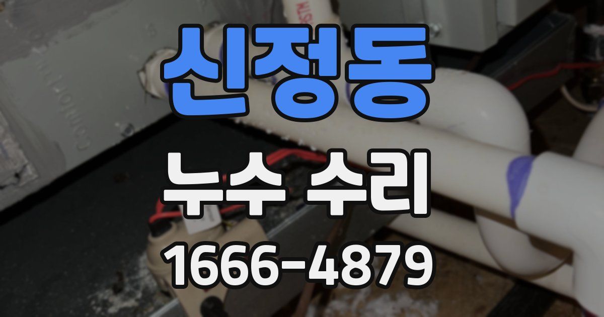신정동 누수 수리