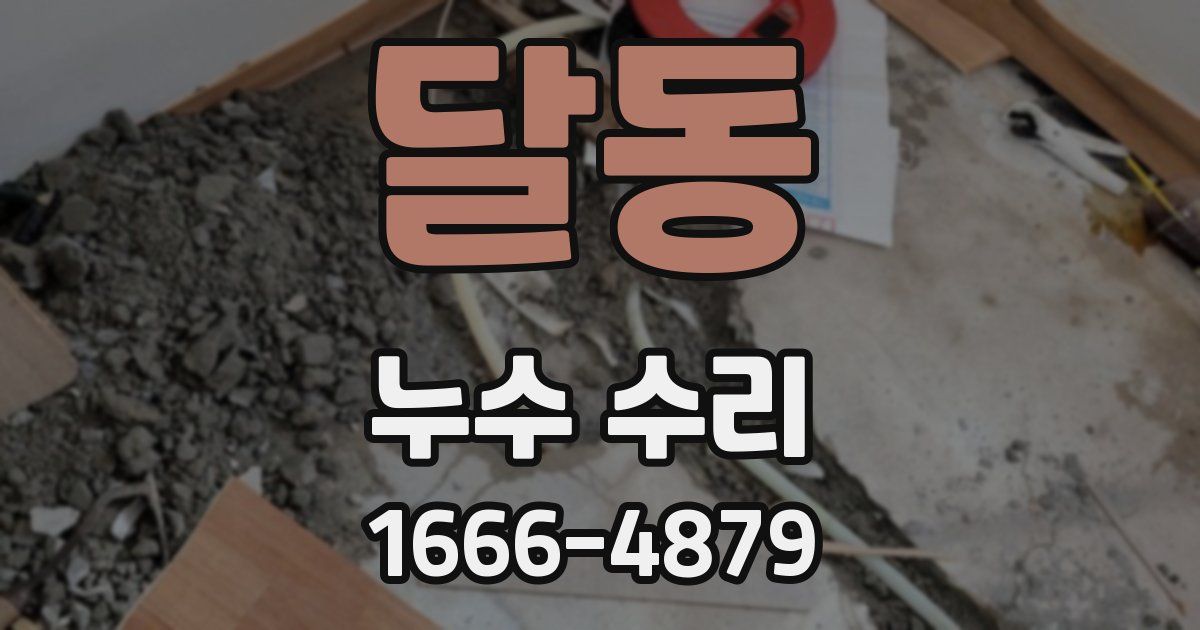 달동 누수 수리