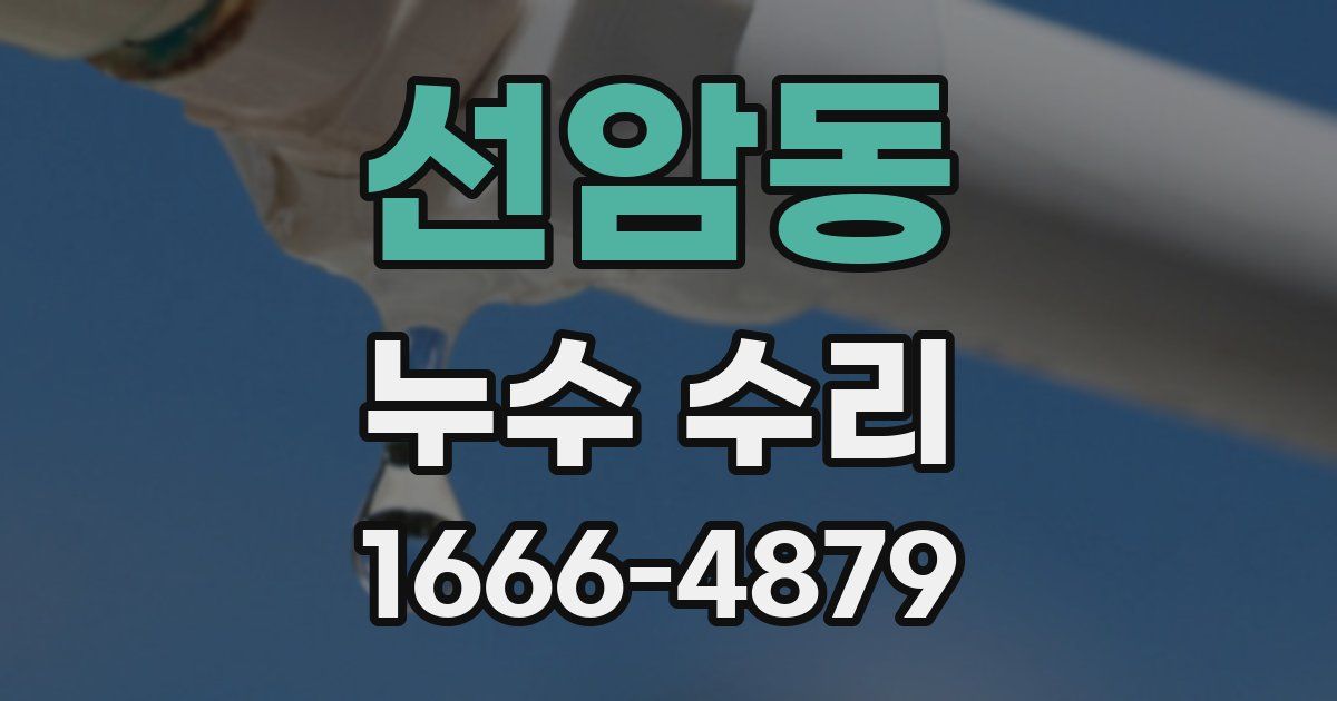 선암동 누수 수리