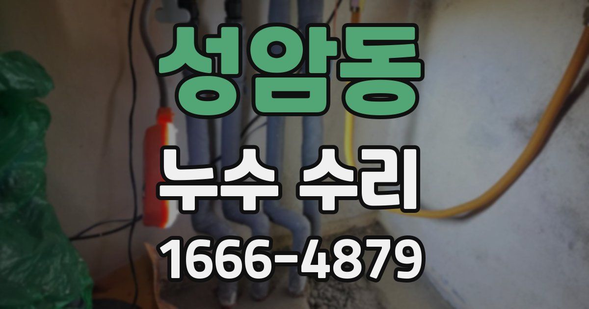 성암동 누수 수리