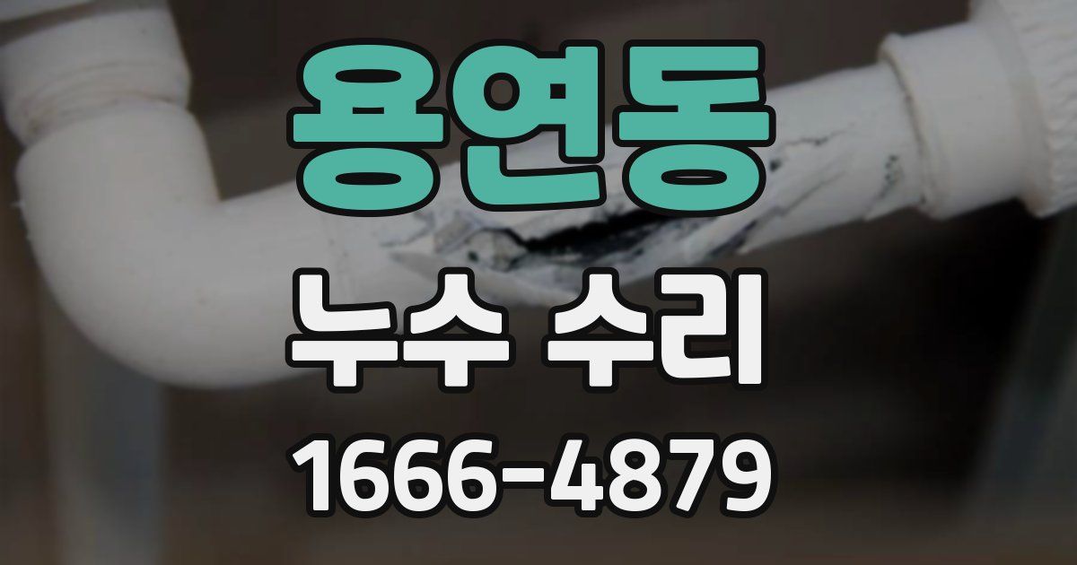 용연동 누수 수리