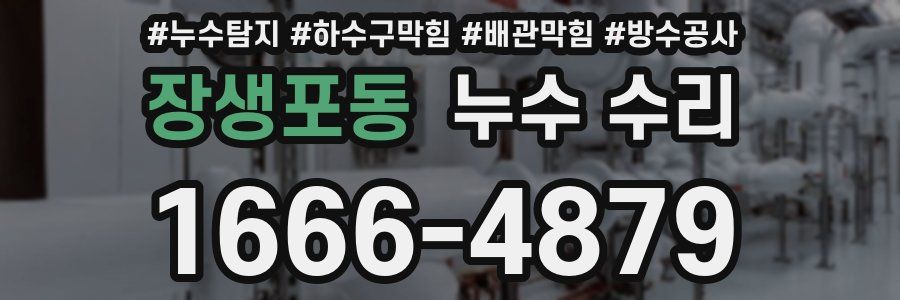 장생포동 누수 수리
