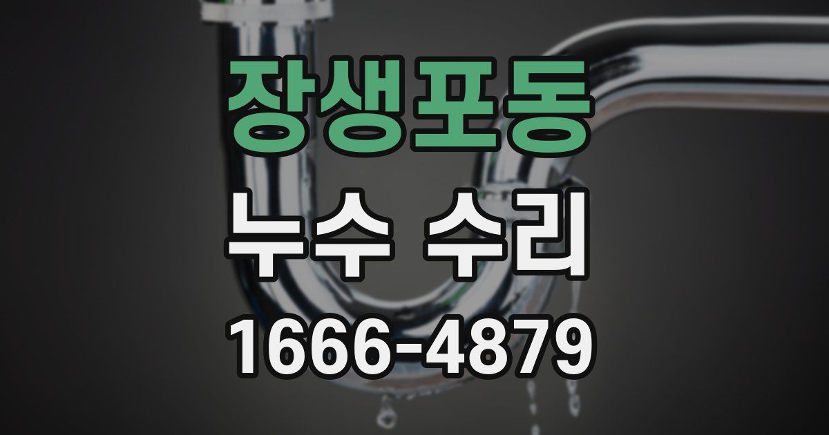 장생포동 누수 수리