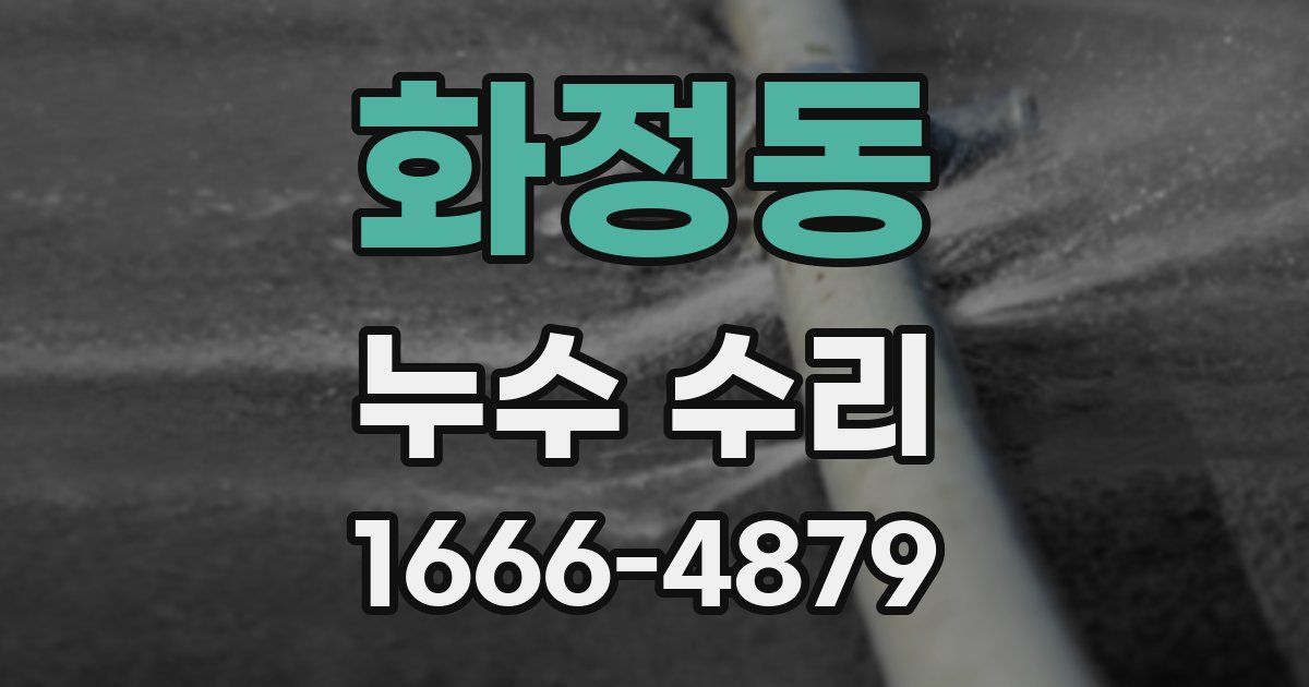 화정동 누수 수리