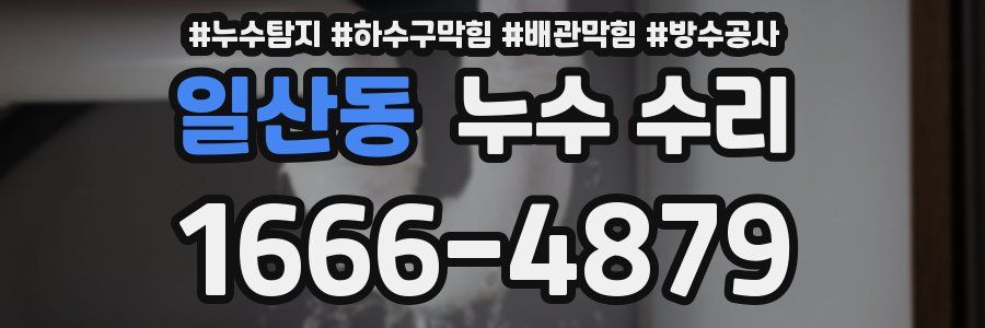 일산동 누수 수리