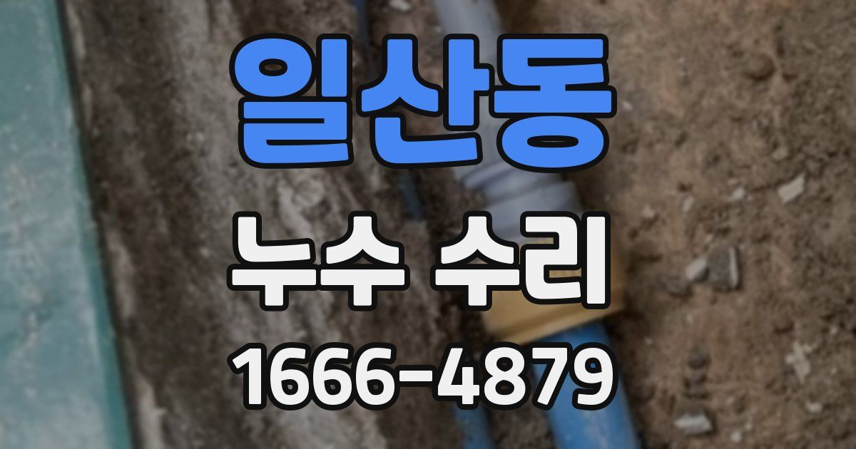 일산동 누수 수리