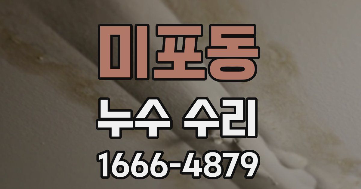 미포동 누수 수리