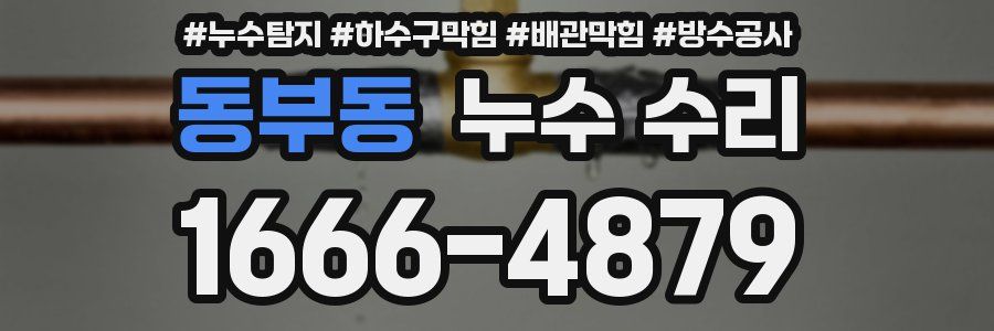 동부동 누수 수리
