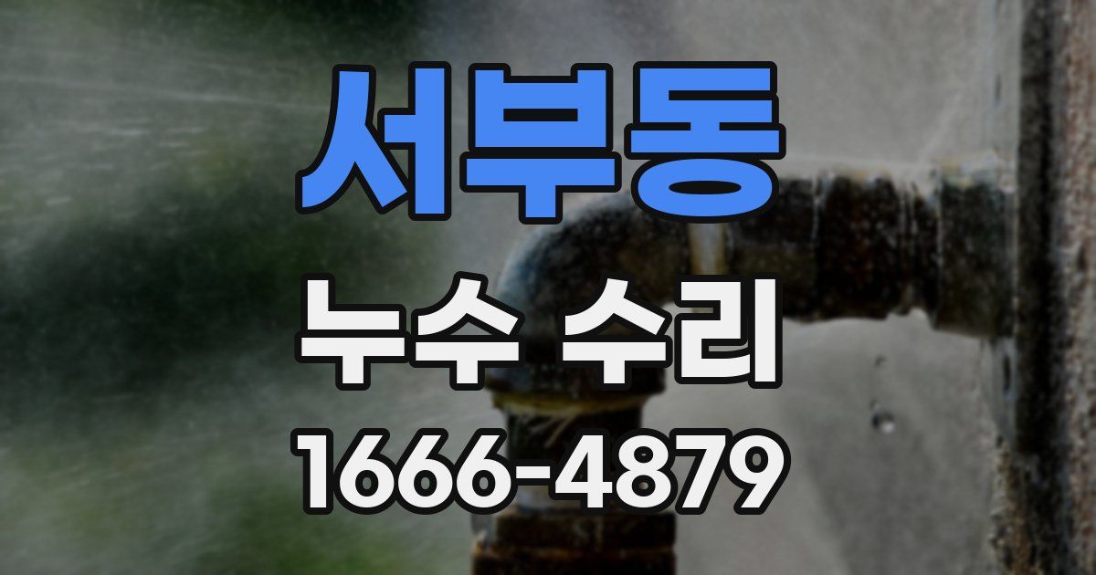 서부동 누수 수리