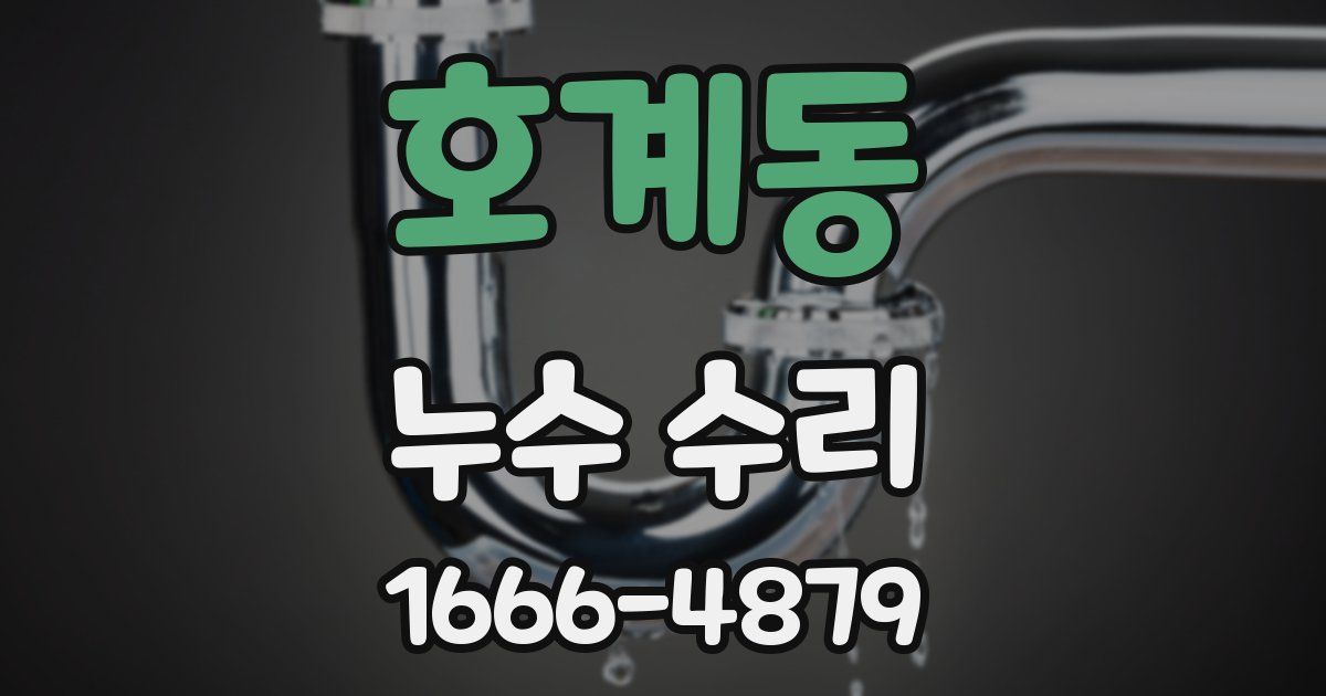 호계동 누수 수리