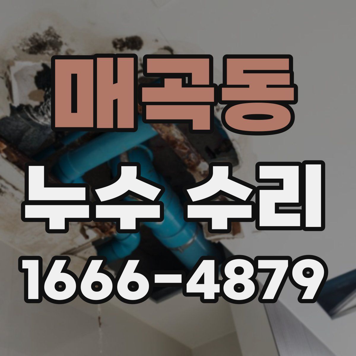 매곡동 누수 수리