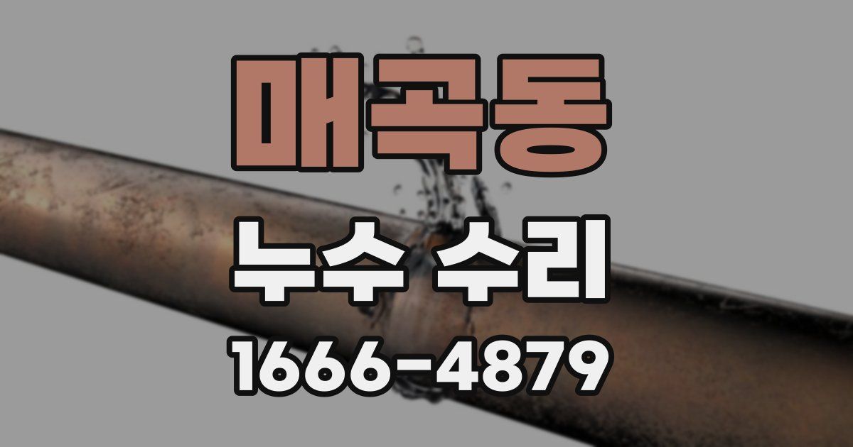 매곡동 누수 수리