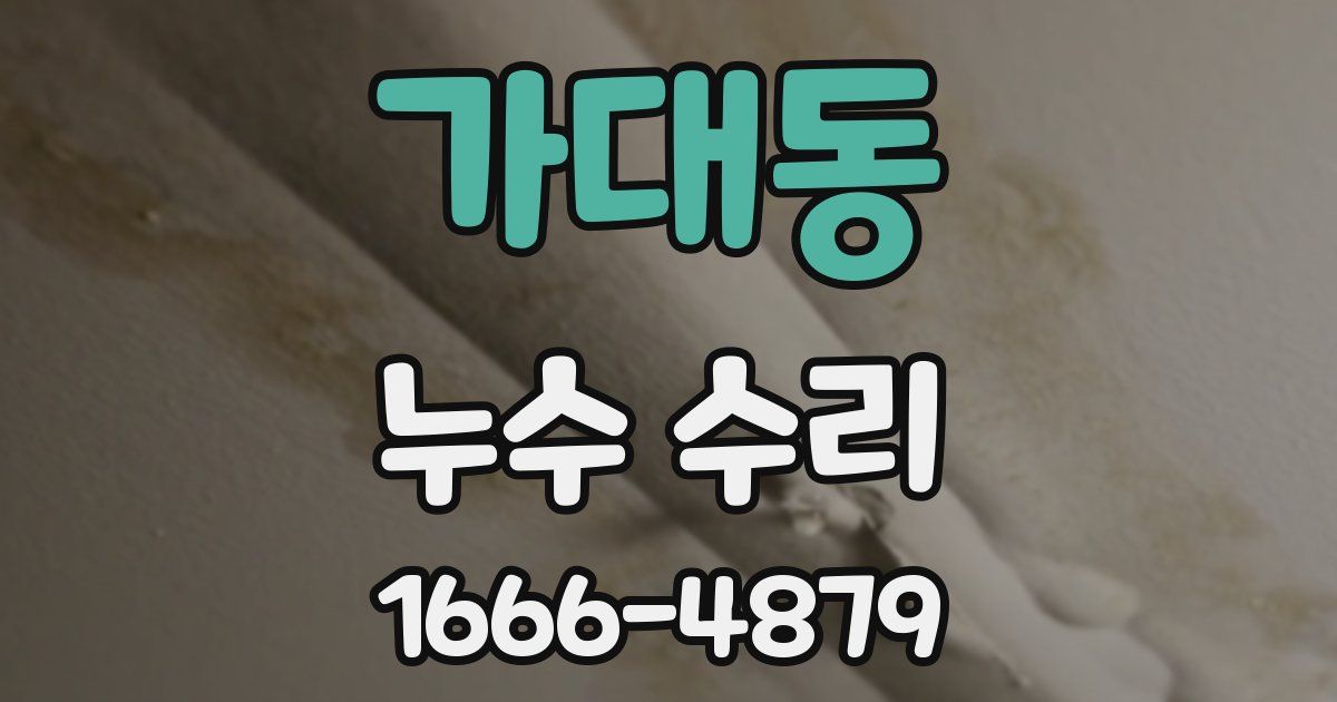 가대동 누수 수리
