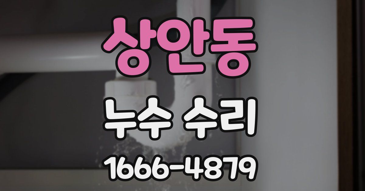 상안동 누수 수리
