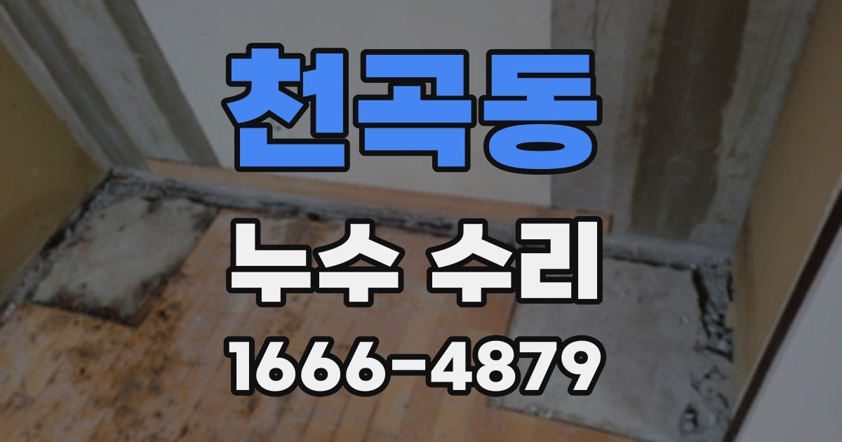 천곡동 누수 수리