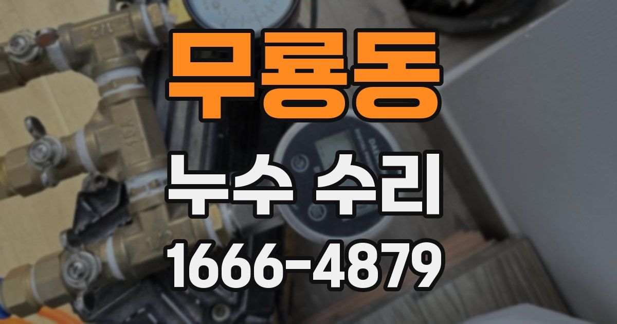무룡동 누수 수리