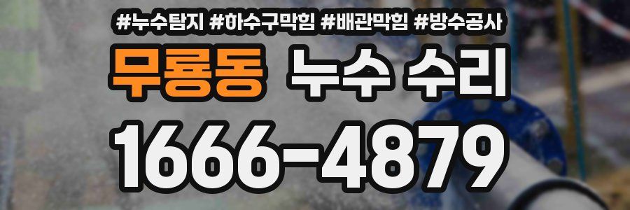 무룡동 누수 수리