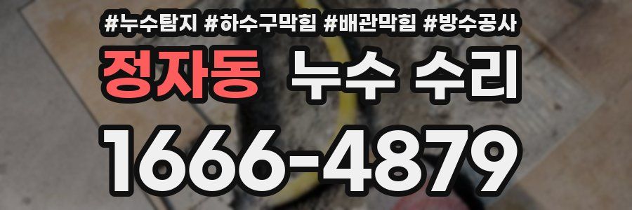 정자동 누수 수리