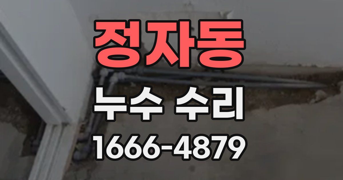 정자동 누수 수리