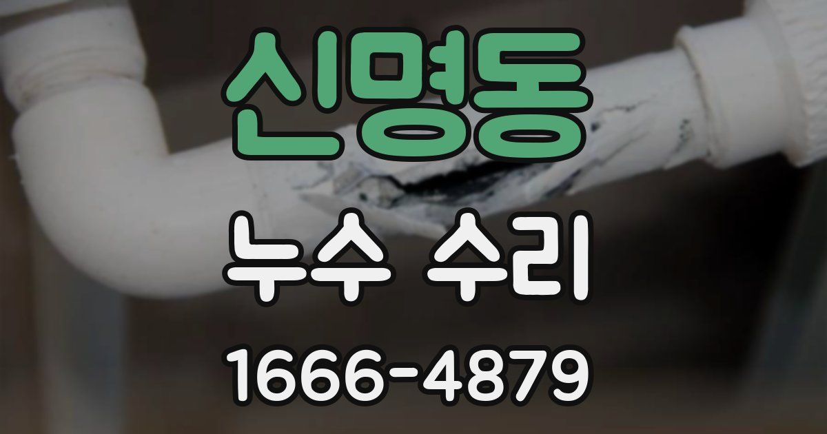 신명동 누수 수리