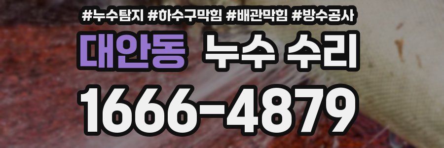 대안동 누수 수리