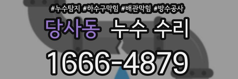 당사동 누수 수리