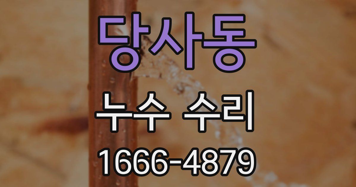 당사동 누수 수리