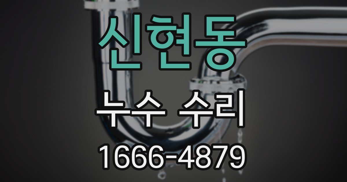신현동 누수 수리