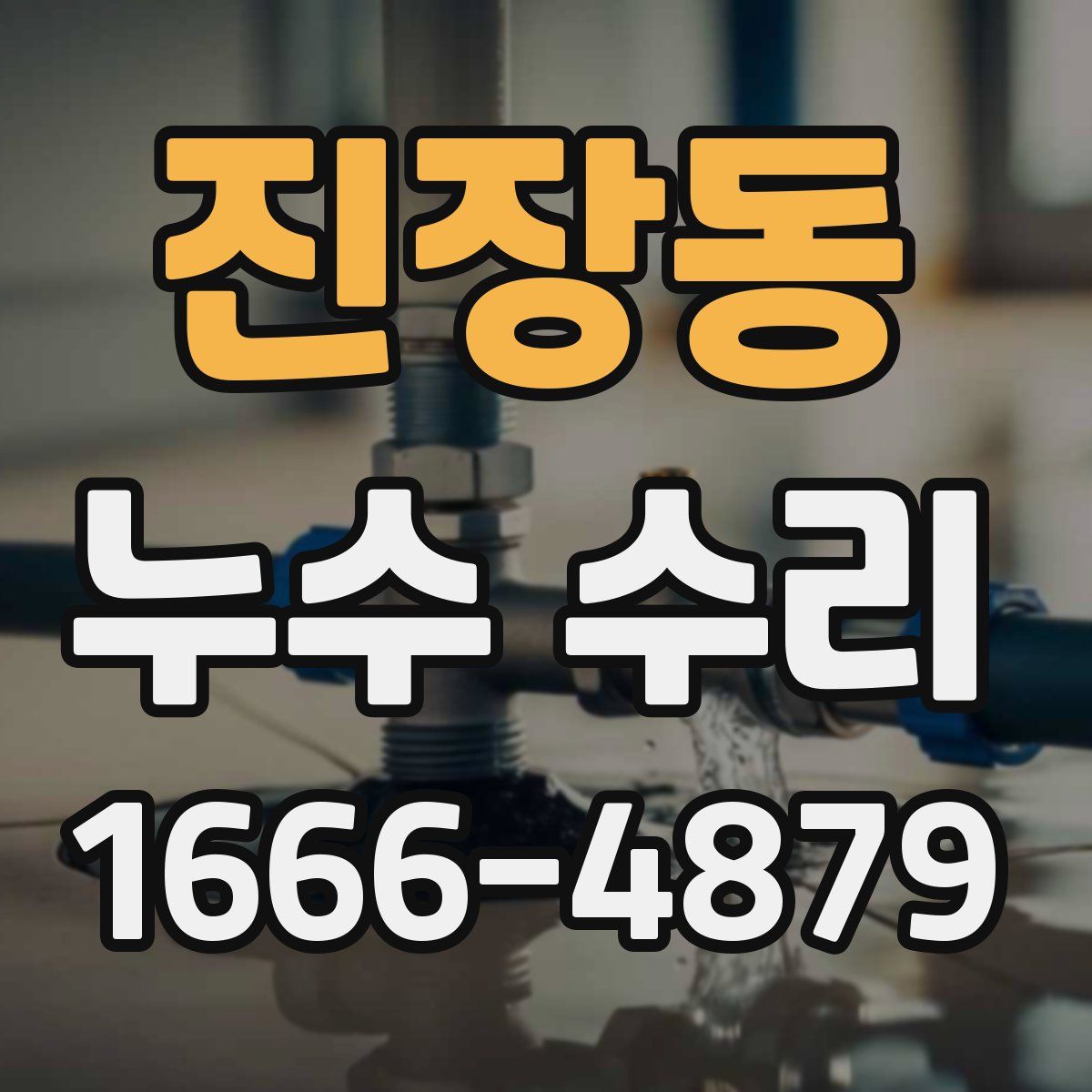 진장동 누수 수리