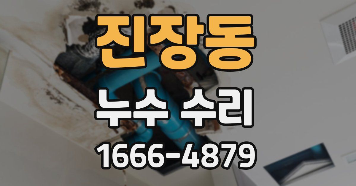 진장동 누수 수리