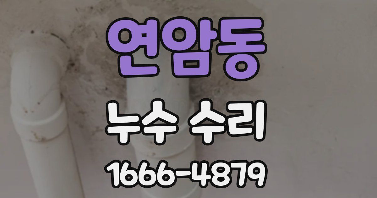 연암동 누수 수리