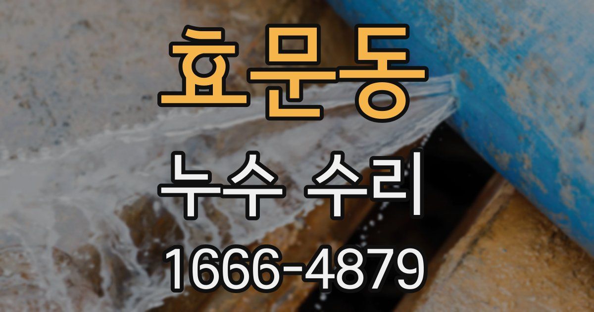 효문동 누수 수리