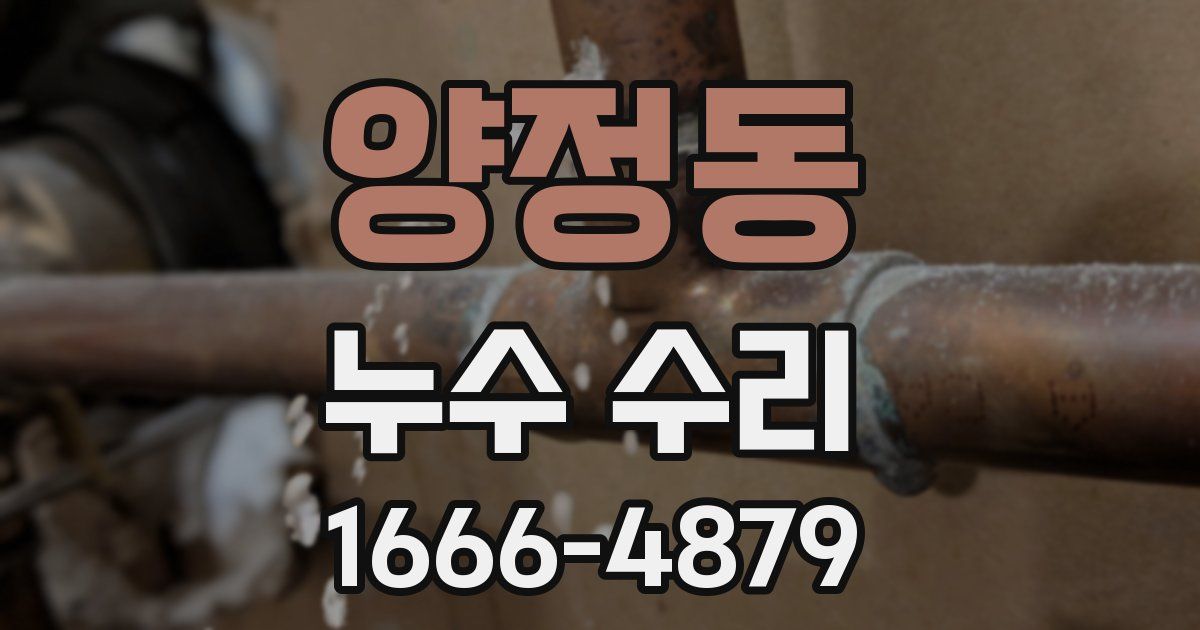 양정동 누수 수리