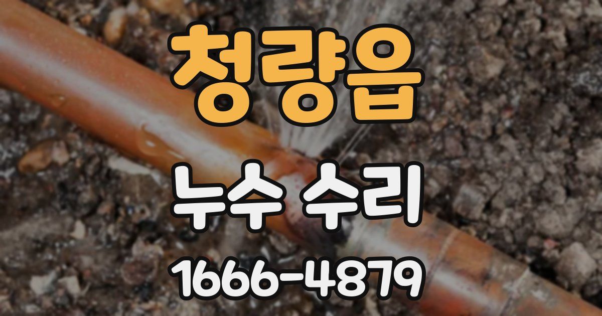 청량읍 누수 수리