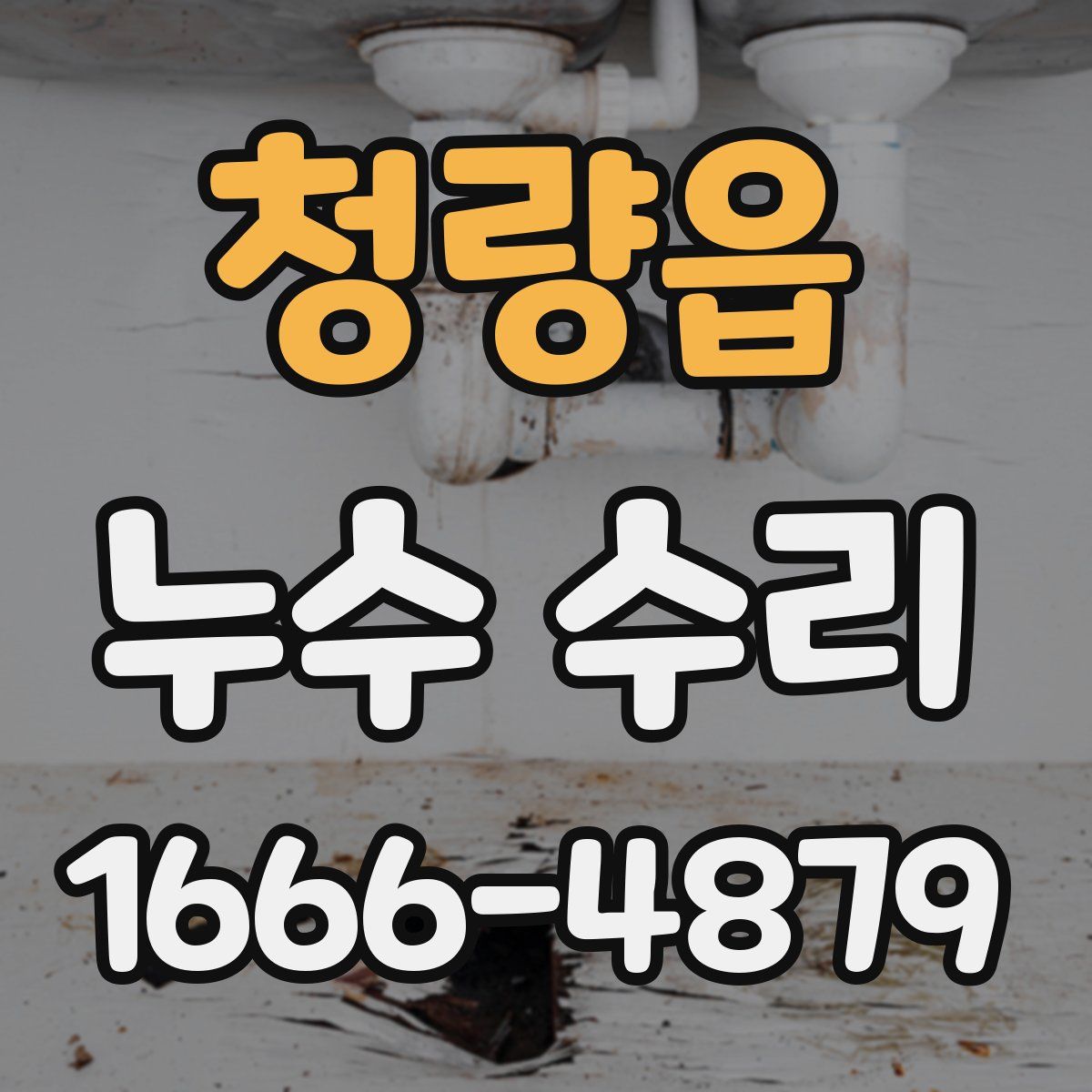 청량읍 누수 수리